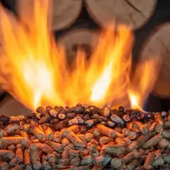 Płonące polana i stos pelletu. W tle widać niedopalony pellet, co może sugerować przyczyny problemów z paleniem.