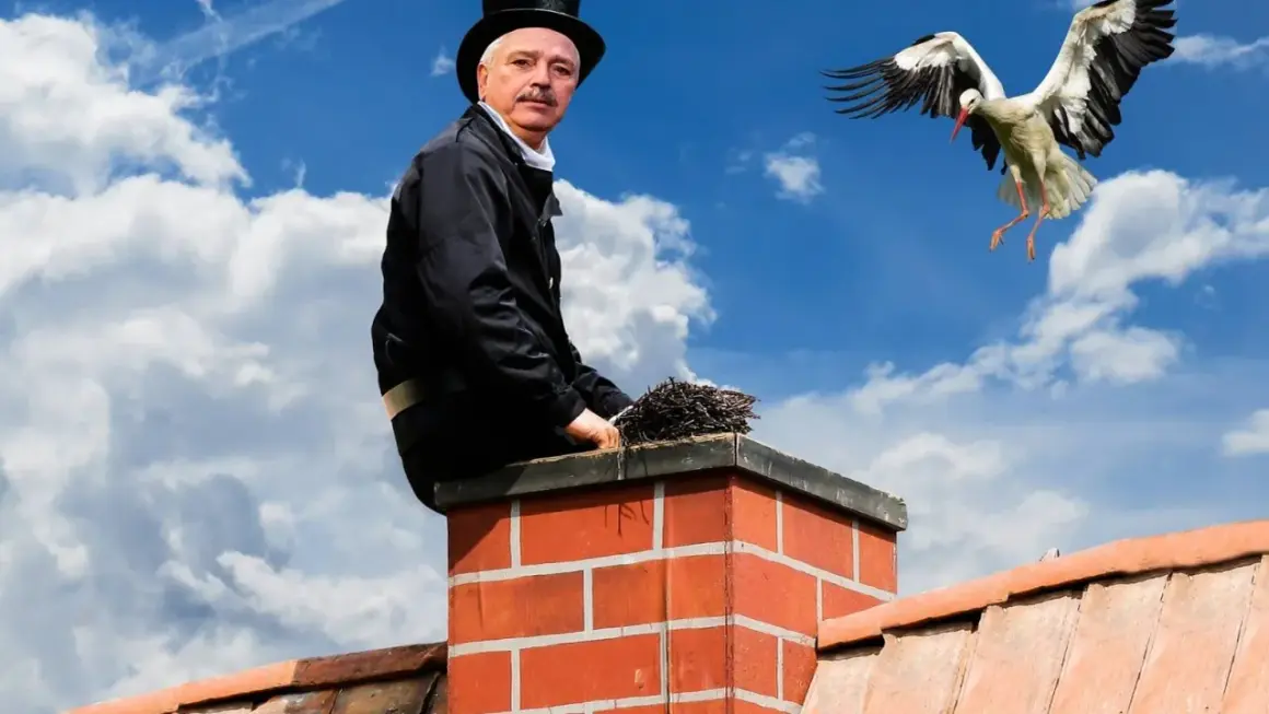 Kominiarz na dachu z miotłą, bocian w locie. Dbaj o swój dom, jak PZU ubezpieczenie domu i przegląd komina.